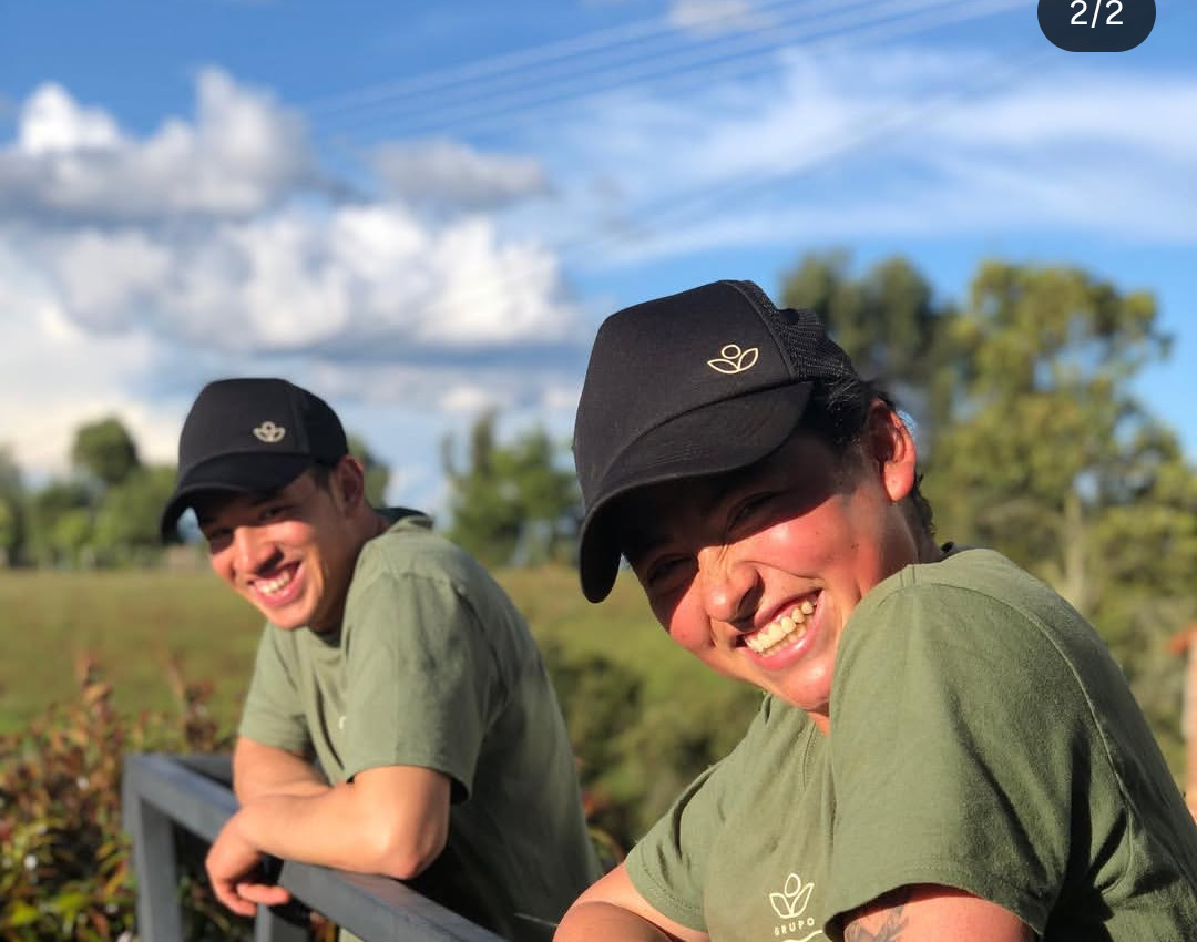 Culinary creation with microgreens